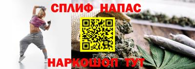 амф Дубна