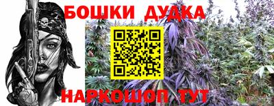амф Дубна