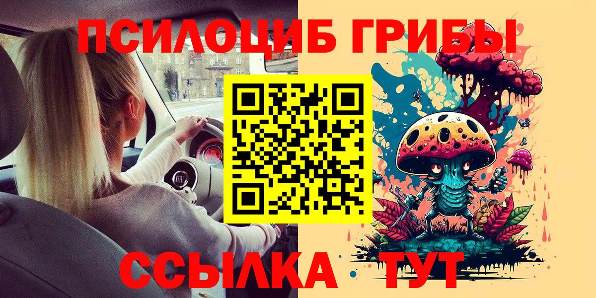 Миасс  Псилоцибиновые грибы GOLDEN TEACHER  Вход с VPN  хочу наркоту  Псилоцибиновые грибы Magic Shrooms 